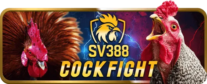 Thưởng sinh nhật và VIP Playiwin